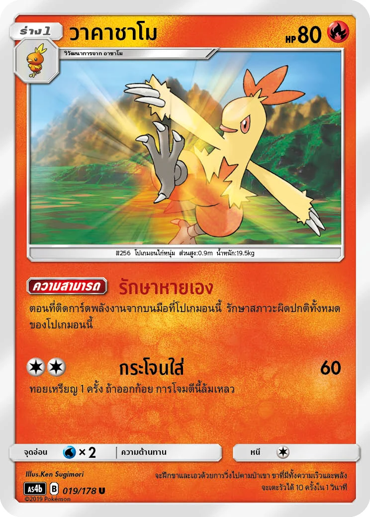 วาคาชาโม