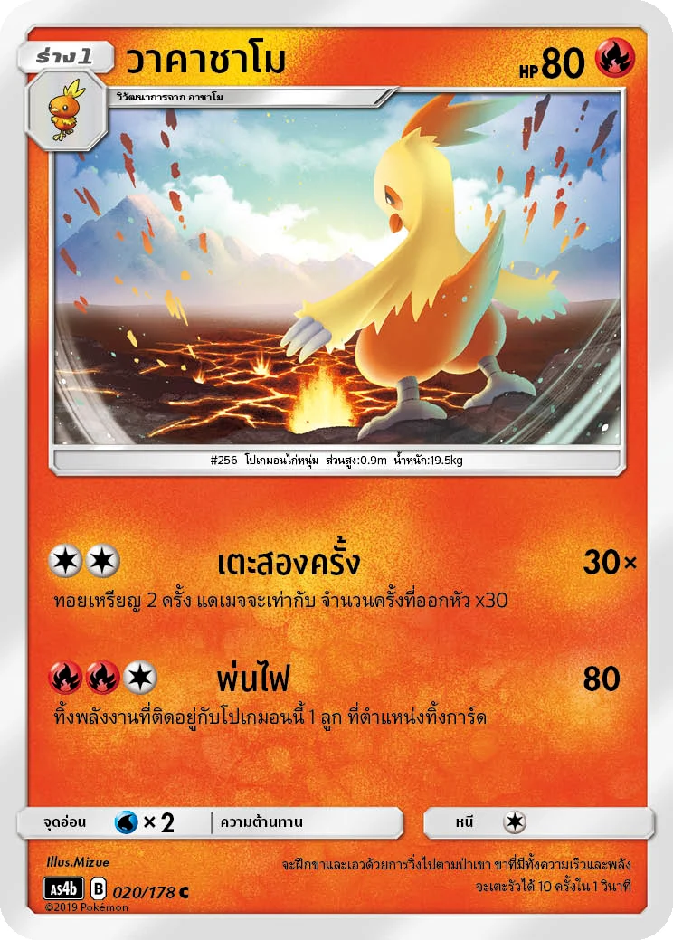 วาคาชาโม
