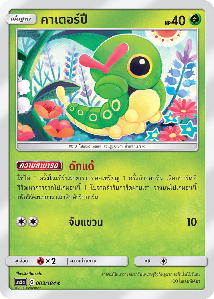 คาเตอร์ปี