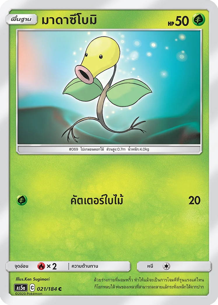 มาดาซึโบมิ
