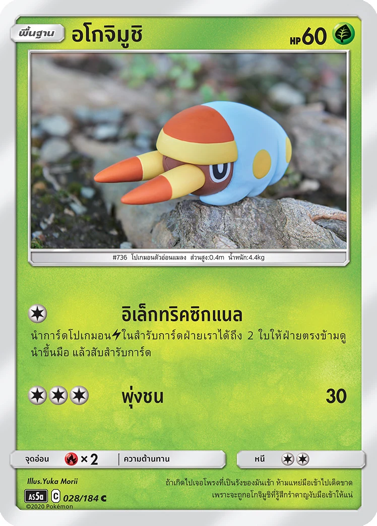 อโกจิมูชิ
