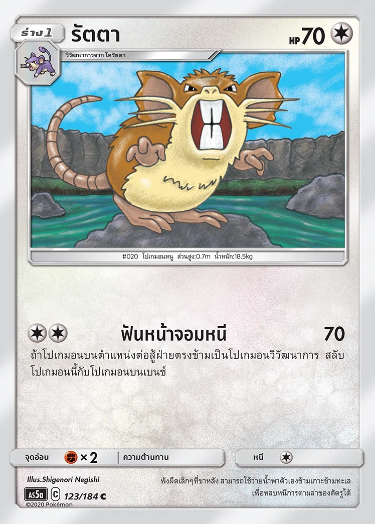 รัตตา