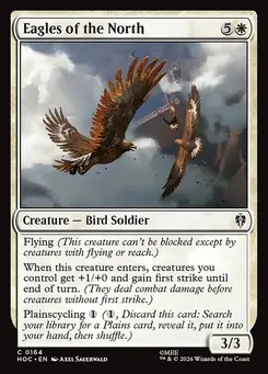 Eagles of the North