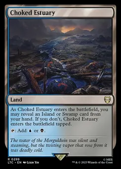 Choked Estuary