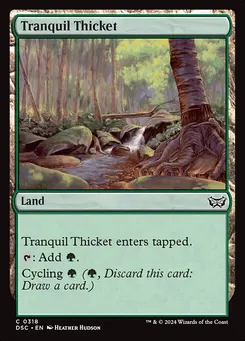Tranquil Thicket