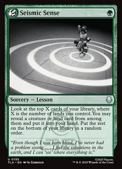 Seismic Sense