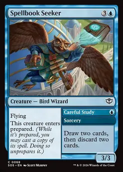 Spellbook Seeker // Careful Study
