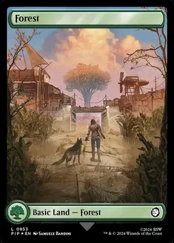 Forest