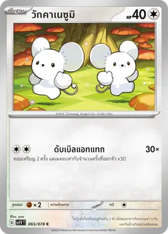วักคาเนซูมิ