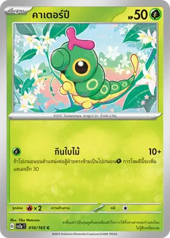 คาเตอร์ปี