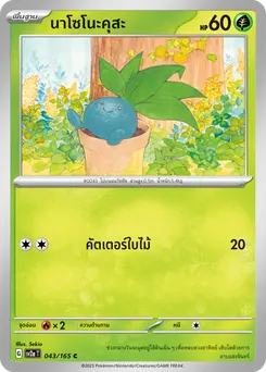 นาโซโนะคุสะ