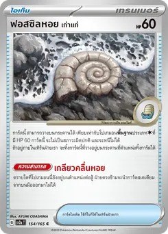 ฟอสซิลหอยเก่าแก่