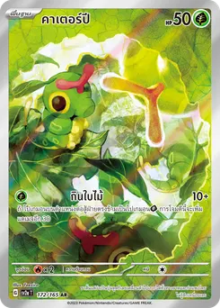 คาเตอร์ปี