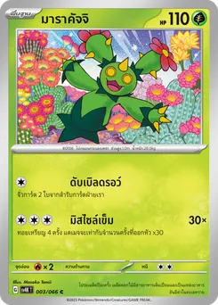 มาราคัจจิ