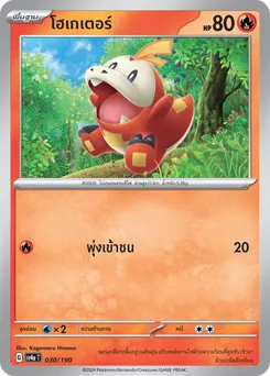 โฮเกเตอร์