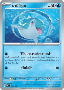 นามิอิรุกะ