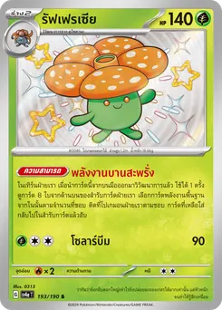 รัฟเฟรเซีย
