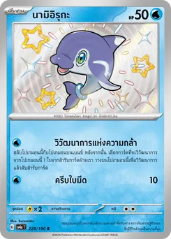 นามิอิรุกะ