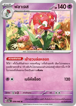 ฟลาเจส