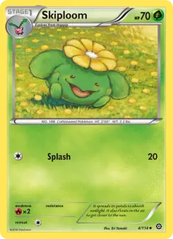 Skiploom