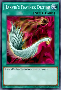 Harpie's Feather Duster