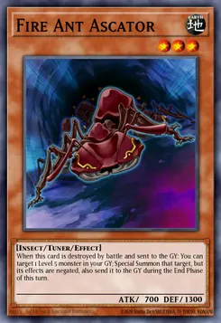 Fire Ant Ascator