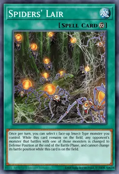 Spider's Lair
