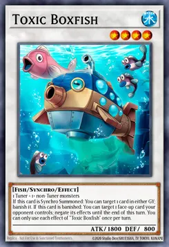 Toxic Boxfish