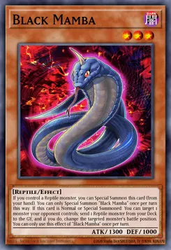 Black Mamba