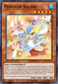 Penguin Squire