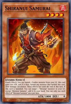 Shiranui Samurai