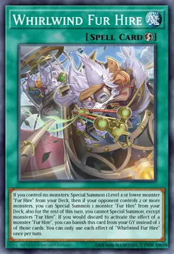 Storm Fur Hire