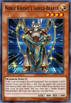 Noble Knight's Shield-Bearer