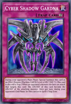 Cyber Shadow Gardna