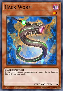 Hack Worm