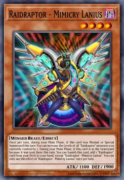 Raidraptor - Mimicry Lanius