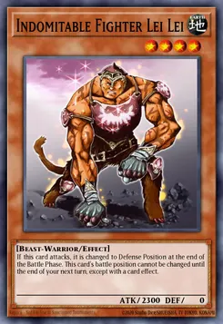 Indomitable Fighter Lei Lei