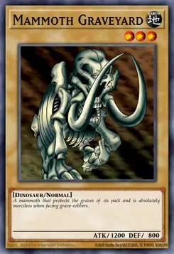 Mammoth Graveyard