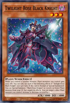 Twilight Rose Black Knight