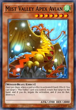 Mist Valley Apex Avian