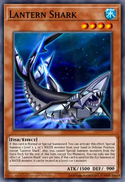 Lantern Shark