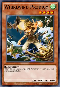 Whirlwind Prodigy