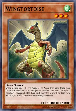Wingtortoise