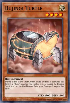 Bujingi Turtle