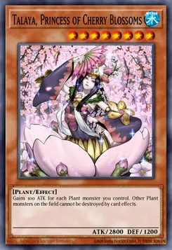 Talaya, Princess of Cherry Blossoms
