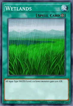 Wetlands