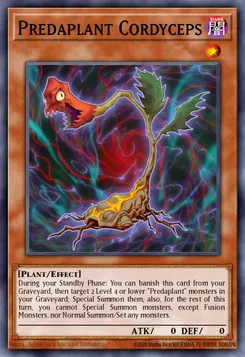 Predaplant Cordyceps