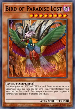 Bird of Paradise Lost
