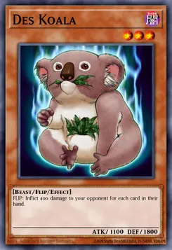 Des Koala