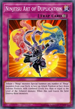 Ninjitsu Art of Duplication